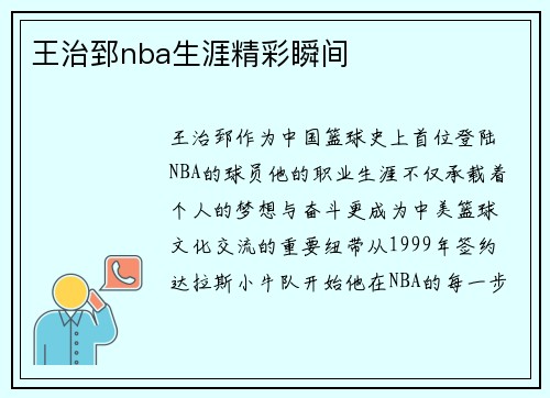 王治郅nba生涯精彩瞬间